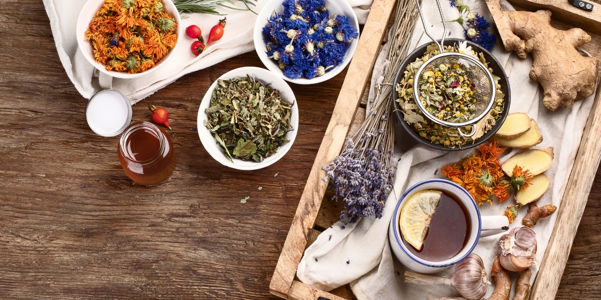 Read more about the article Unlocking the Secrets of Herbal Remedies: Natural Healing for Body and Mind